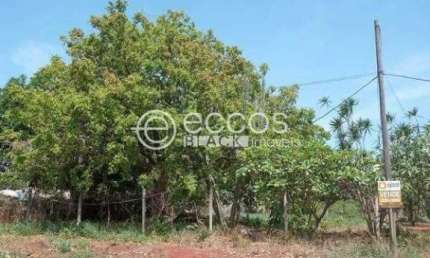 Chácara à venda, 3 quartos, Parque das Andorinhas - Uberlândia/MG