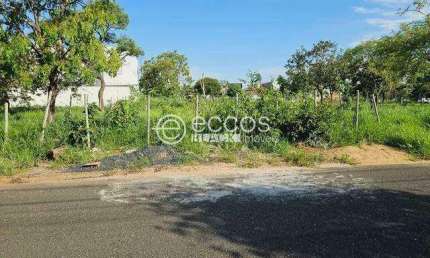 Terreno à venda, Jardim Inconfidência - Uberlândia/MG