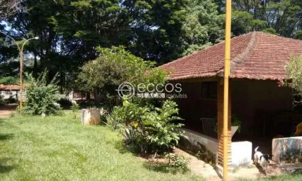 Chácara / sítio à venda na Rua Espatódia, --, Panorama, Uberlândia