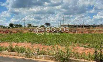 Terreno à venda na Rua Idalina Francisca Da Silva Lot. Mansour Iii, --, Mansour III, Uberlândia