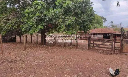 Fazenda à venda, 4 quartos, Miraporanga - Uberlândia/MG