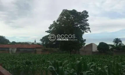 Terreno à venda na Rua Jornalista João Lourenço, --, Centro, Araguari