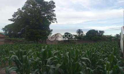 Terreno comercial para alugar na Rua Jornalista João Lourenço, --, Centro, Araguari