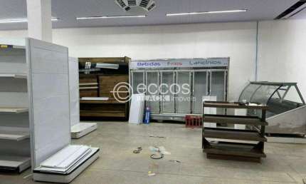 Imóvel Comercial para aluguel, Taiaman - Uberlândia/MG