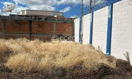 Imóvel Comercial para aluguel, CENTRO - ARAGUARI/MG