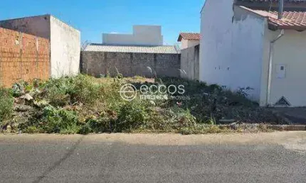 Terreno à venda na Rua Sonilda Costa Ribeiro, --, Brasília, Araguari