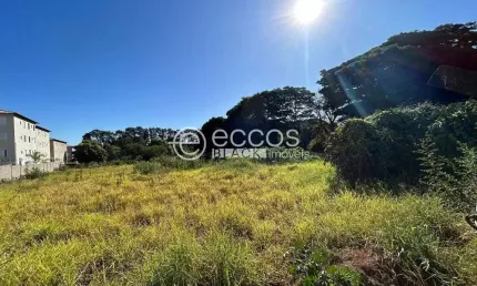 Área à venda, Chácaras Tubalina e Quartel - Uberlândia/MG