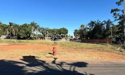 Terreno à venda, Chácaras Tubalina e Quartel - Uberlândia/MG