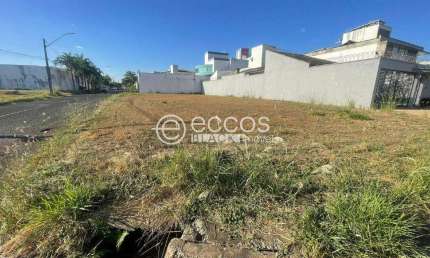 Terreno à venda na Alameda Saul Afonso da Silva, --, Jardim Karaíba, Uberlândia
