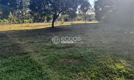 Terreno à venda na Rua Bauhínia, --, Morada do Sol, Uberlândia