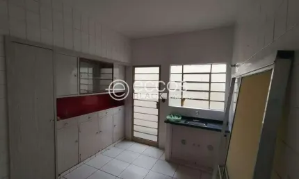 Casa com 3 quartos para alugar na Rua Pedro Nasciutti, --, Centro, Araguari