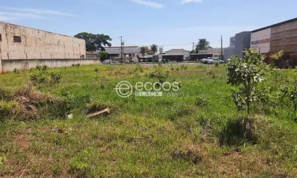 Terreno à venda na Rua Irmã Margarida, --, Bosque, Araguari