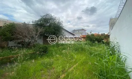 Terreno à venda na Rua Sebastiana Arantes Fonseca, --, Santa Mônica, Uberlândia