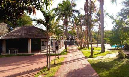 Chácara à venda, 3 quartos, 1 suíte, 20 vagas, Patrimônio - Uberlândia/MG