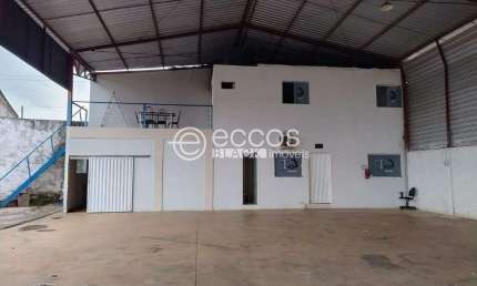 Barracão / Galpão / Depósito para alugar na Rodovia Br050, --, Idelmino, Araguari