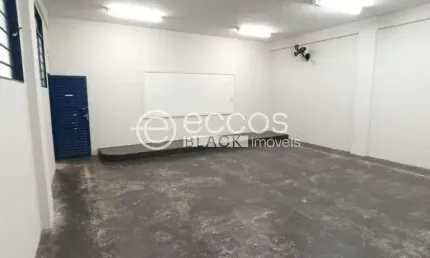 Prédio para alugar na Avenida Engenheiro Diniz, --, Martins, Uberlândia