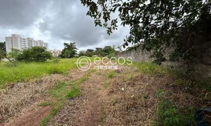 Terreno à venda na Alameda Jardim Holanda, --, Jardim Holanda, Uberlândia