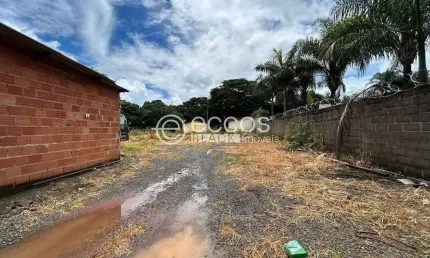 Terreno à venda na Rua das Paineiras, --, Panorama, Uberlândia