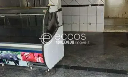 Imóvel Comercial para aluguel, Santa Maria - UBERABA/MG