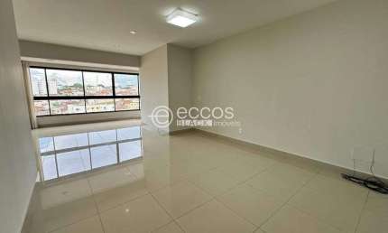 Apartamento à venda, 2 quartos, 2 suítes, 2 vagas, São Sebastião - UBERABA/MG