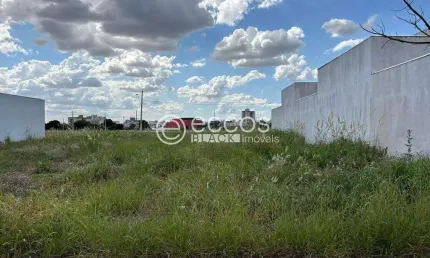 Terreno à venda na Rua Basílio Da Gama, --, Novo Mundo, Uberlândia