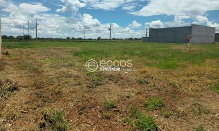 Terreno à venda, Parque das Laranjeiras - UBERABA/MG