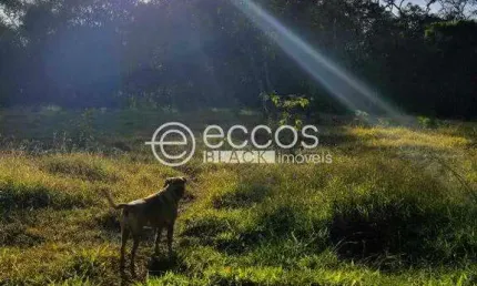 Terreno à venda, 3 quartos, Área Rural de Uberaba - UBERABA/MG