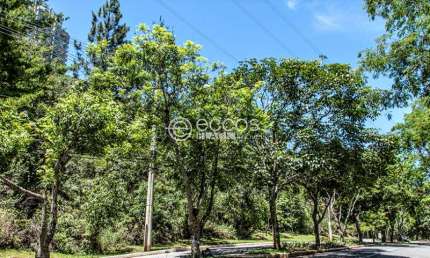 Terreno em condomínio à venda, Vila Castela - Nova Lima/MG
