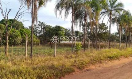 Chácara / sítio à venda na Rua Sibipiruna, --, Chácara Panorama, Uberlândia