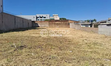Terreno à venda na Avenida Estrêla do Sul, --, Osvaldo Rezende, Uberlândia