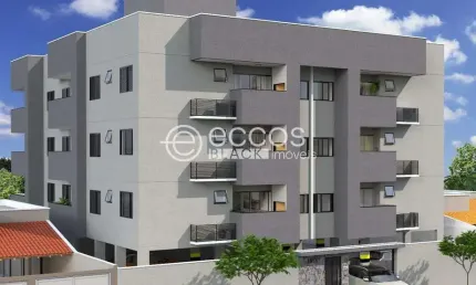 Apartamento à venda, 2 quartos, 1 suíte, 2 vagas, santa mônica - uberlândia/mg