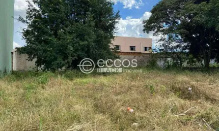 Terreno à venda na Rua Vinícius de Morais, --, Universitário, Uberaba