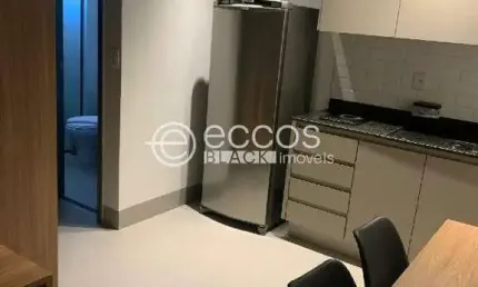 Kitnet / Stúdio para alugar na Rua Antônio de Souza Franqueiro, --, Santa Mônica, Uberlândia