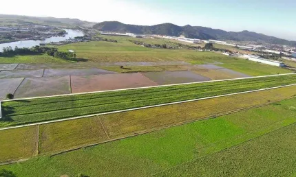 Terreno à venda, 36400 m² - Volta Grande - Navegantes/SC