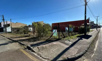 Terreno comercial para alugar na Rua Janis Falgatti Roth, 435, Sítio Cercado, Curitiba