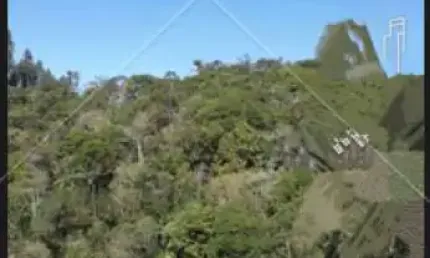 Chácara / sítio à venda na Outros Setor De Vendas, Jardim Colina, Campina Grande do Sul