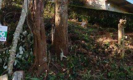 Terreno à venda na Estrada Horácio Augusto Folly, 1336, Amparo, Nova Friburgo