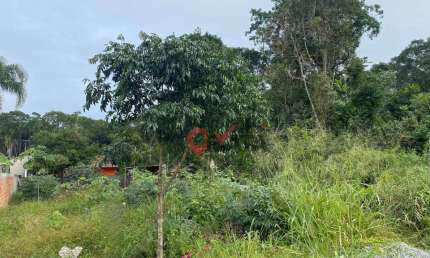 Terreno à venda, 360 m² por R$ 70.000,00 - Alvorada - Itapoá/SC