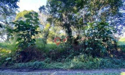 Terreno à venda, 409 m² por r$ 80.000,00 - jardim verdes mares de itapoá - itapoá/sc