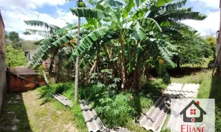Terreno à venda, 350 m² por R$ 320.000,00 - Jardim Nova Europa - Campinas/SP