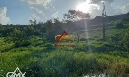 Sítio à venda, 182000 m² por R$ 5.000.000,00 - Jardim Vale Azul - Londrina/PR