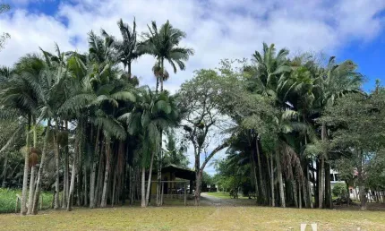 Terreno com 2.107 m² e espaço para festas no centro de ilhota