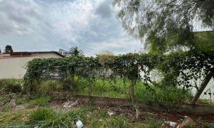 Terreno à venda no bairro Jardim Novo Cambuí em Campinas