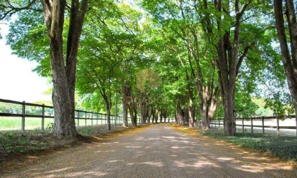 Terreno à venda em jaguariúna, reserva santa izabel, com 410 m², reserva santa izabel