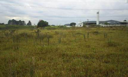 Terreno à venda em Campinas, Chácara Nova Boa Vista, com 42323 m²