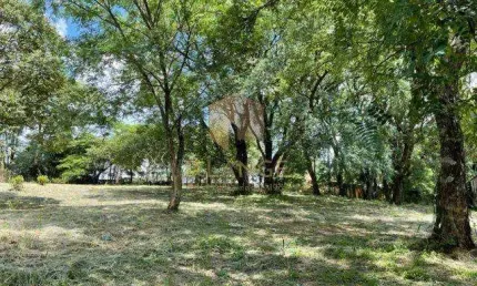 Terreno à venda na Rua Tom Jobim, 515, Vale Verde, Valinhos