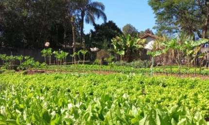 Terreno à venda no Village Campinas, região de Barão Geraldo