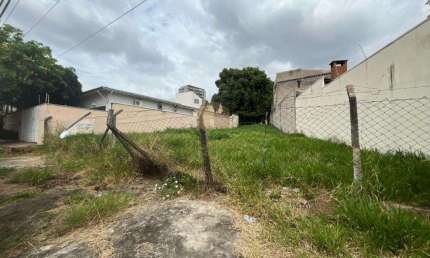 Terreno à Venda no Bairro Jardim Novo Cambuí em Campinas