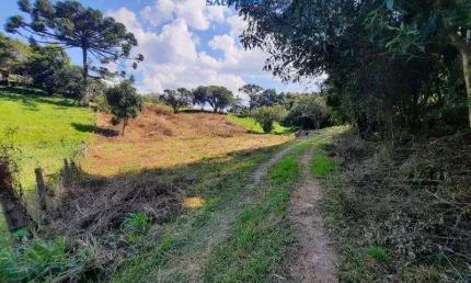 Terreno à venda na Linha Santa Clara, 1, Centro, Carlos Barbosa