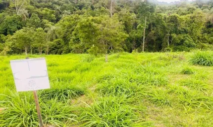 Terreno em condomínio fechado à venda no Vianópolis, Betim 
